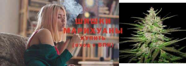 шишки Богородицк