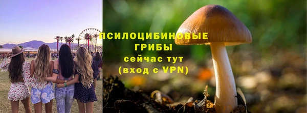 MDMA Богданович