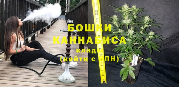 СК Богородск