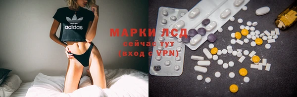 шишки Богородицк