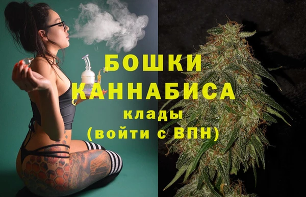 шишки Богородицк