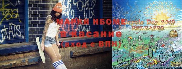 шишки Богородицк