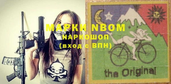шишки Богородицк