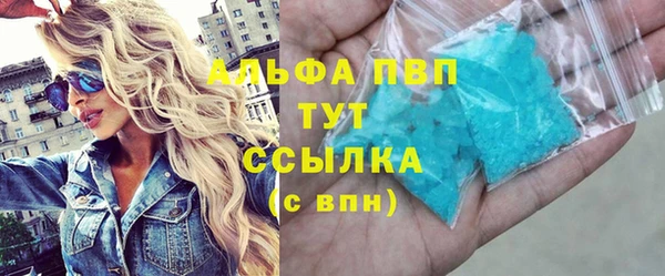 шишки Богородицк