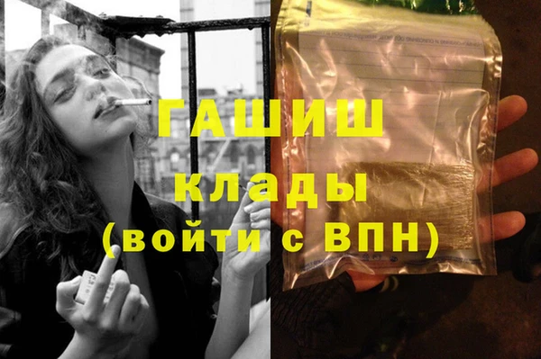 шишки Богородицк