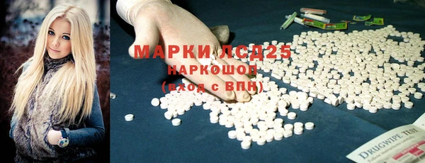 индика Бугульма