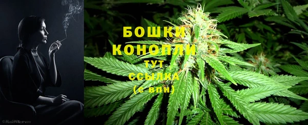 шишки Богородицк