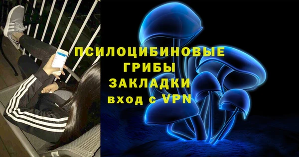 MDMA Богданович
