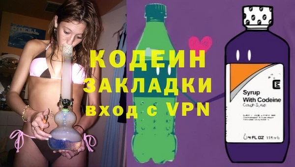 шишки Богородицк