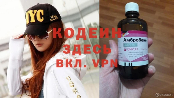 шишки Богородицк